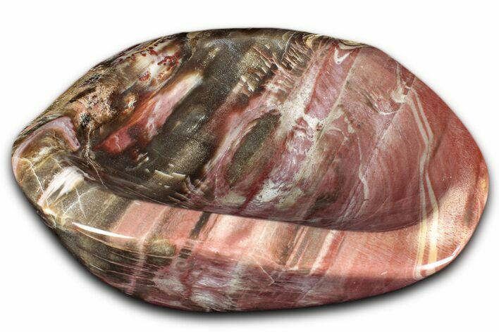 Colorful Polished Petrified Wood Bowl - Madagascar #346823